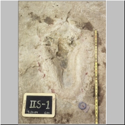 10-px84b-10-19 dodm.jpg